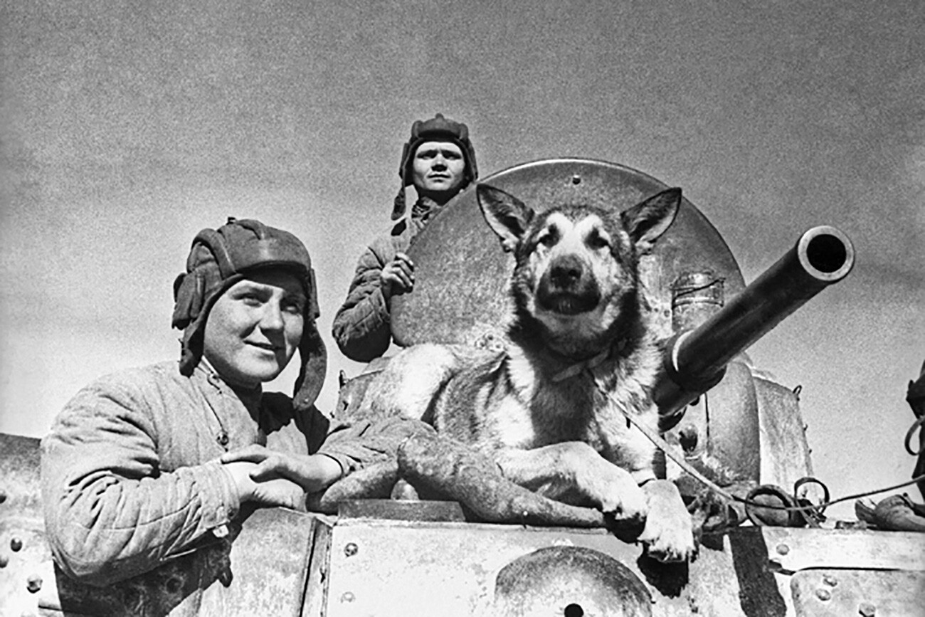 Posadka sovjetskega oklepnega vozila BA-10: višji seržant E. P. Endrekson, seržant V. P. Poršakov, T. D. Derenko in ovčarski pes Džulbars.