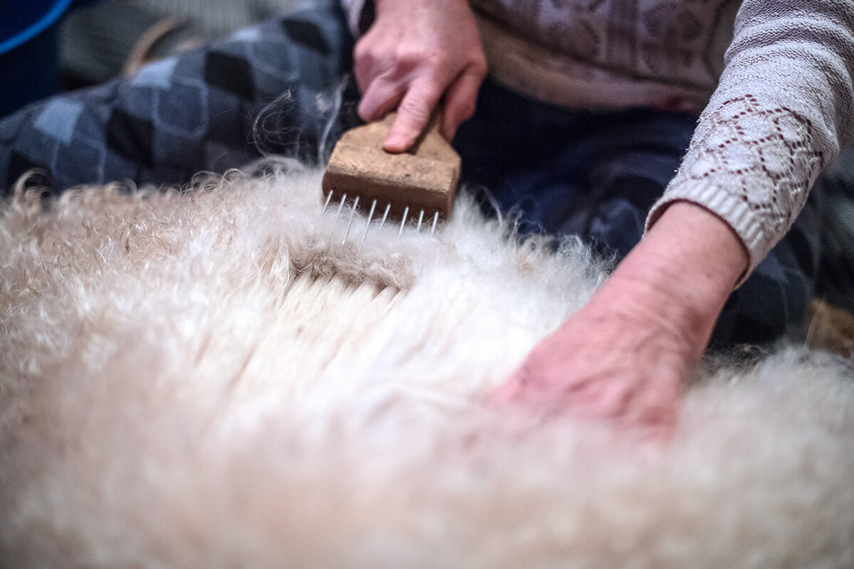 Женщина вычесывает пух с оренбургской козы в поселке Татарский Саракташ Оренбургской области