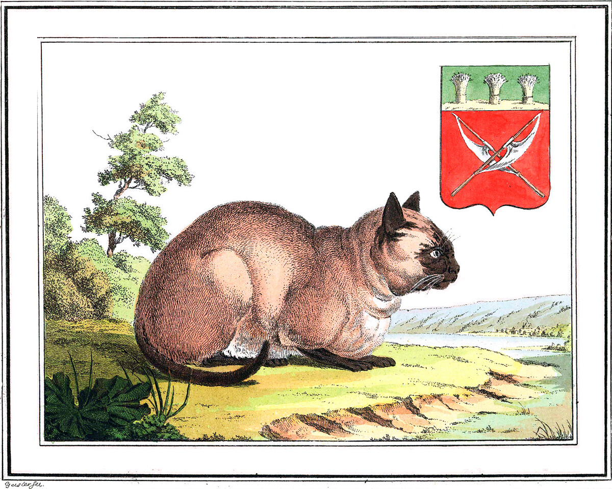 Домаћа мачка у селу Мокшана (етничка подгрупа Мордвина) и грб са мокшанским хелебардама, 1802, Кристијан Готфрид Хајнрих Гајслер.
