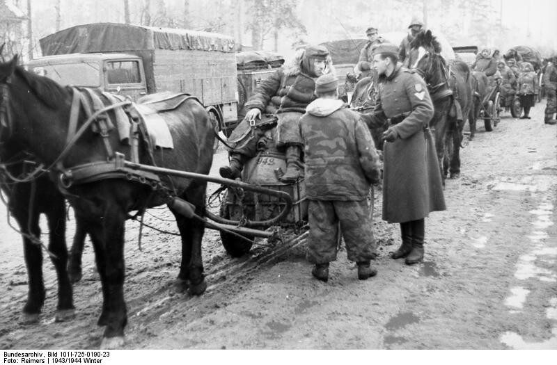 German troops retreat from the Leningrad Region.