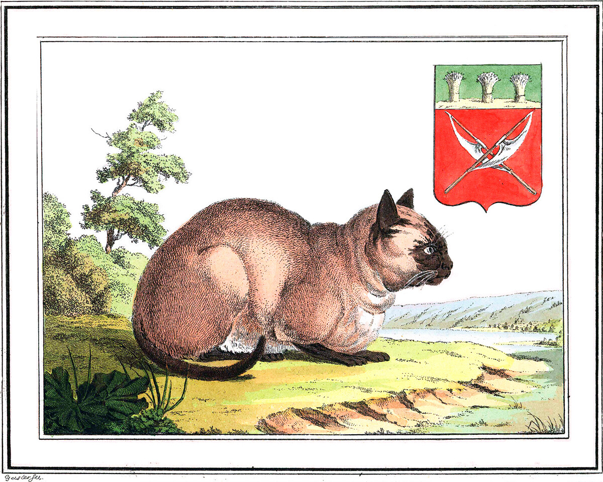 Pintura de Christian Gottfried Heinrich Geissler de gato em província russa, 1802.