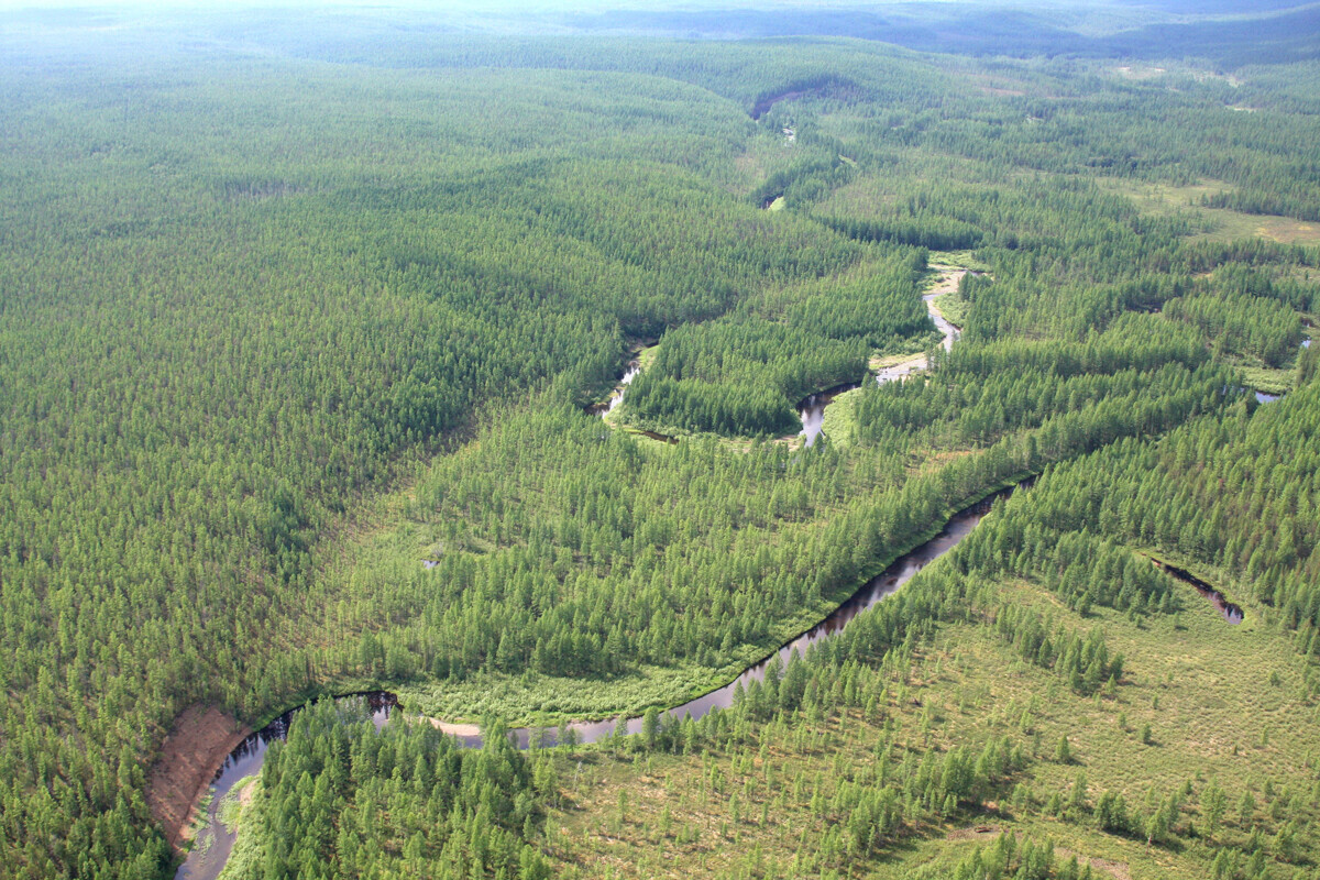 La taiga siberiana nella zona di impatto del meteorite di Tunguska, foto del 2008 a cento anni esatti dall’evento catastrofico