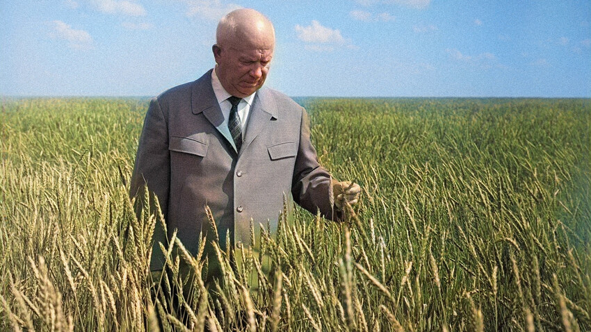 Nikita Jrushchov, Primer Secretario del Comité Central del PCUS y Presidente del Consejo de Ministros de la URSS, visitando un campo de la granja de grano Moskovski.