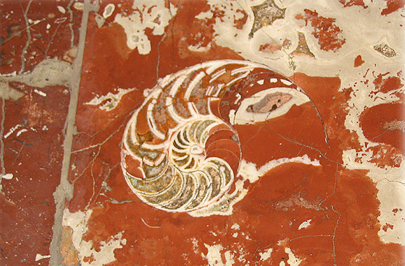 Nautilus en Dobríninskaia