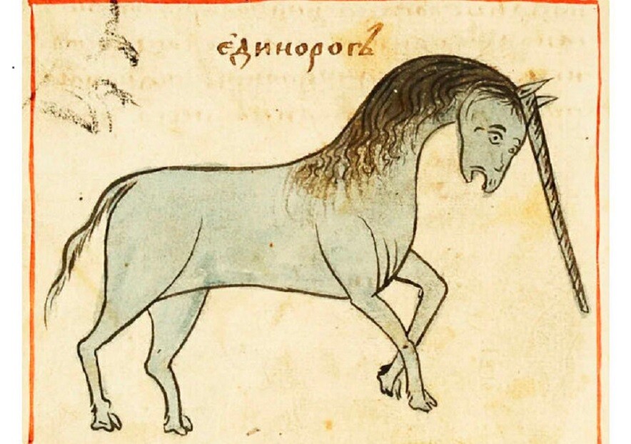Javna domena
