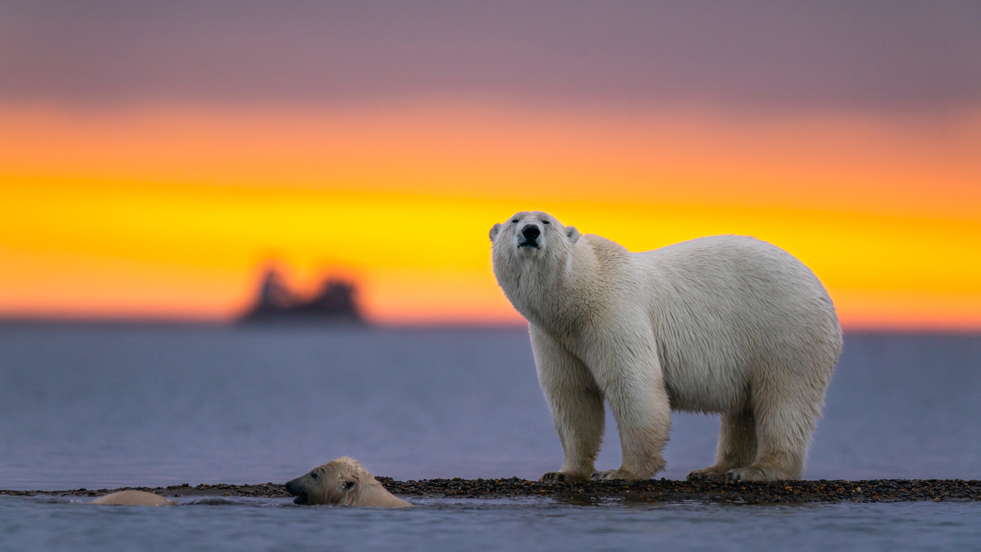 wirestock/freepik.com