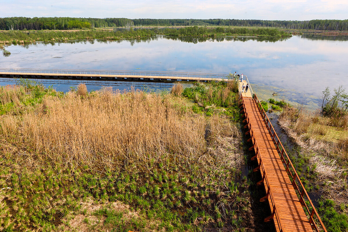 Le premier sentier ornithologique sur pontons de Russie a été inauguré à Moscou