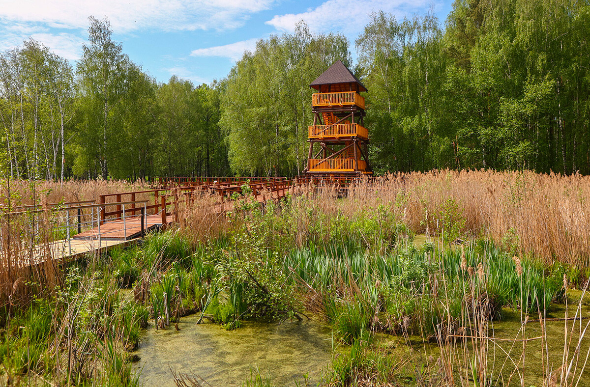 Le premier sentier ornithologique sur pontons de Russie a été inauguré à Moscou