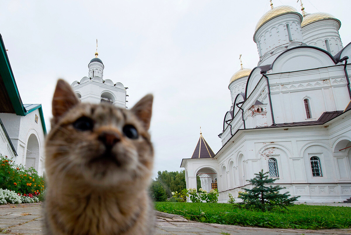 Monastère de la Sainte-Trinité-de-Boldine dans la région de Smolensk