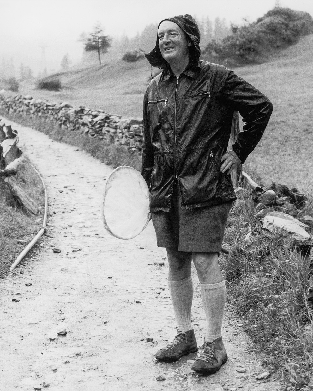 Vladimir Nabokov carrying a net while hunting for butterflies in the rain, Zermatt, Switzerland