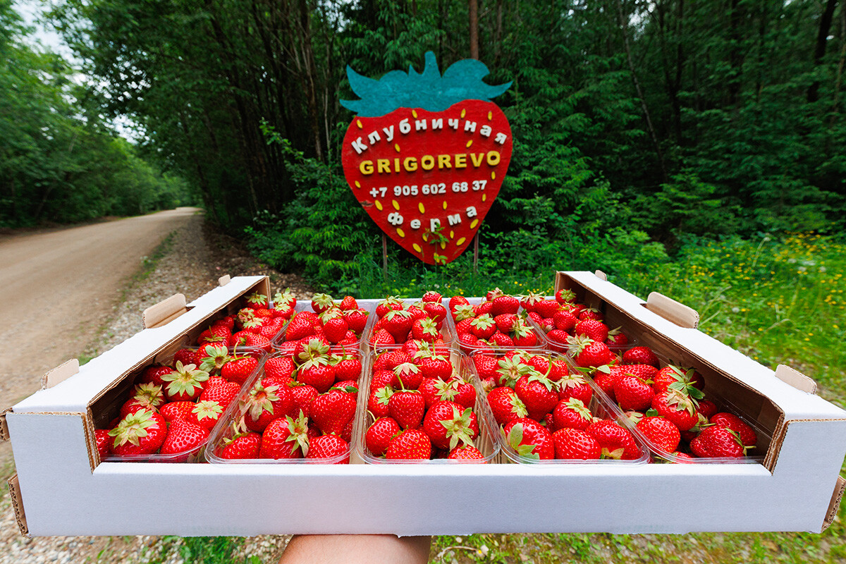 Grigorevo strawberries