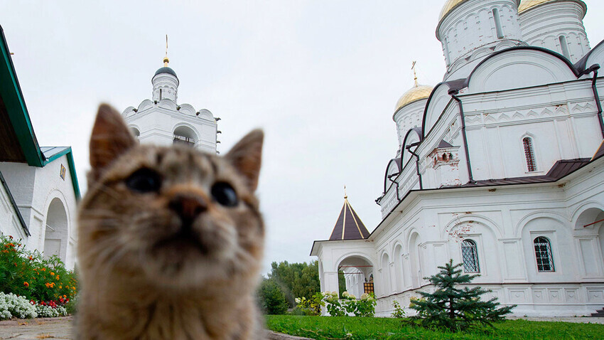 IlIá Pitalev / Sputnik