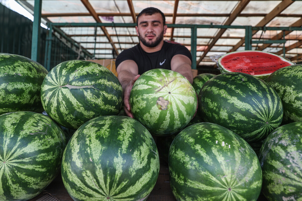 Продавец арбузов и дынь на Преображенском рынке