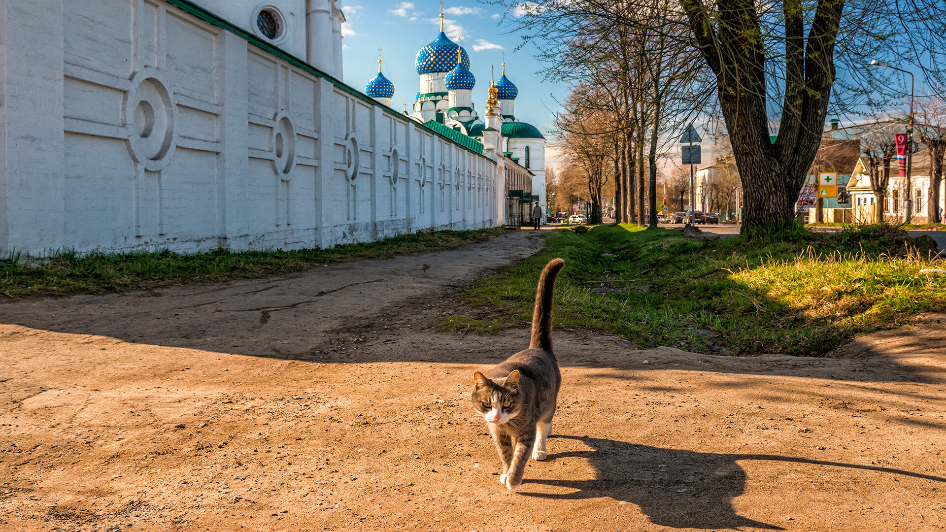 yulenochekk/Getty Images