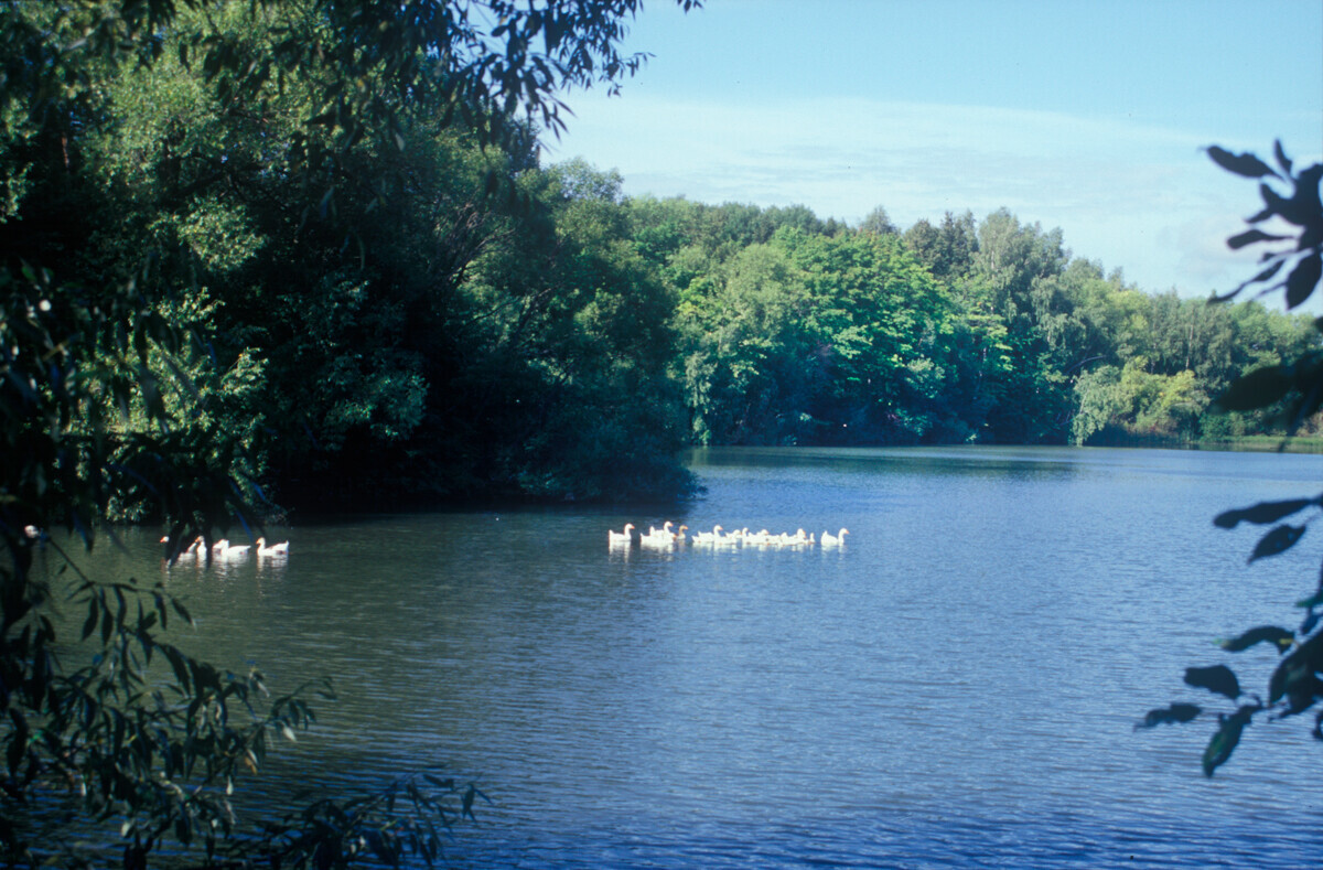 Darovoïé. « L’étang de maman ». Photographie prise par William Brumfield le 22 août 2003.