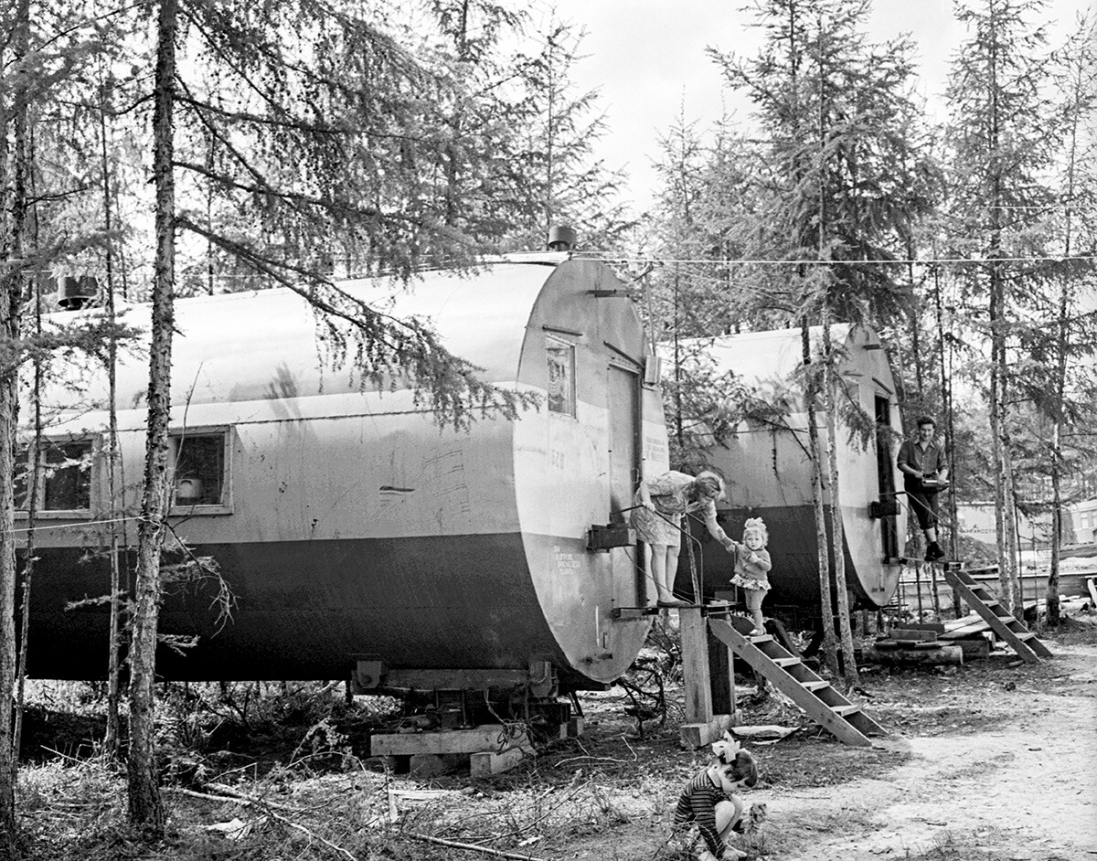 Cistern houses in a forest