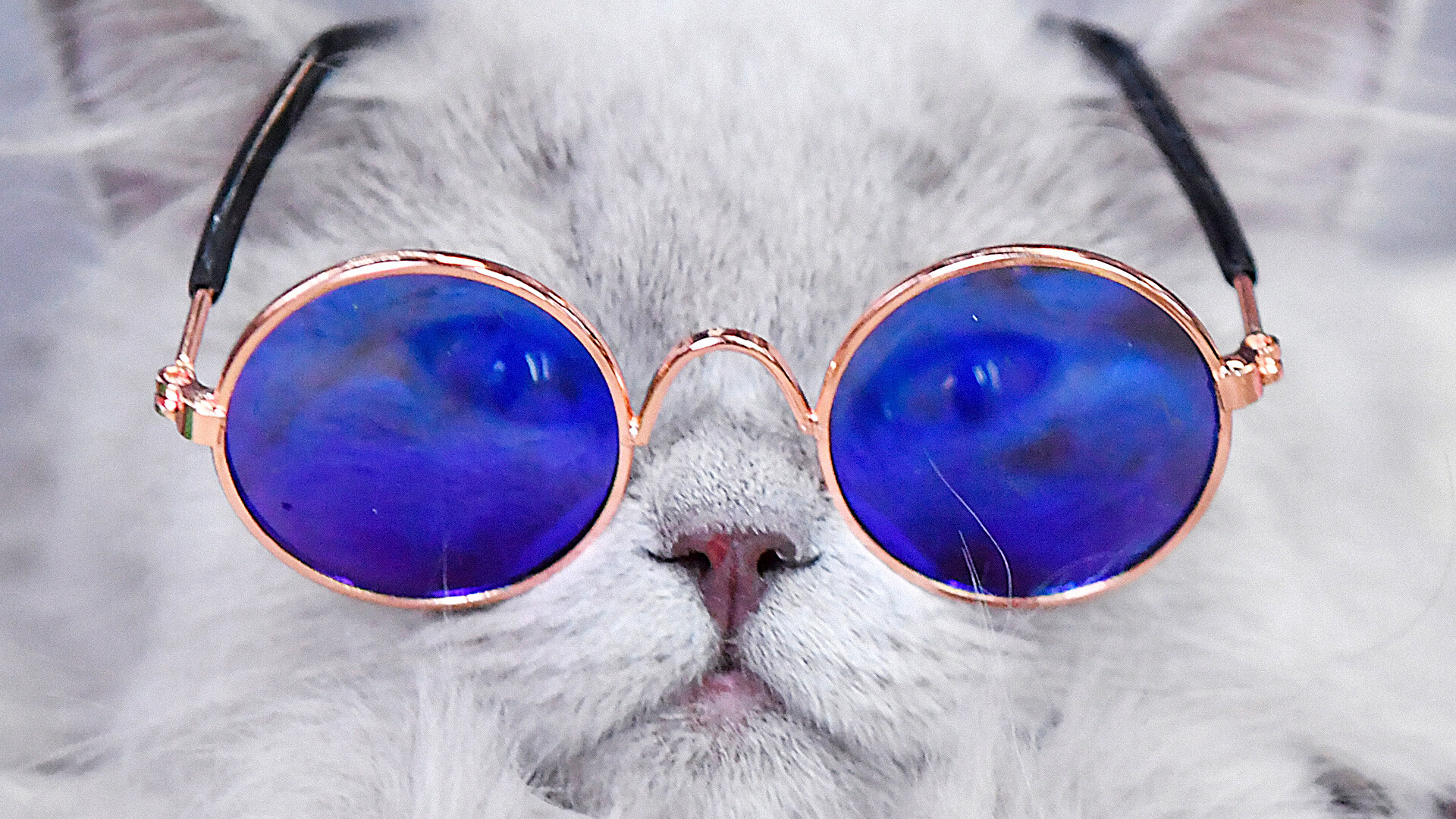 Natalia Selivérstova/Sputnik