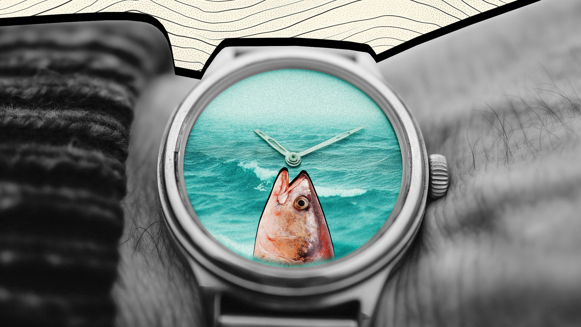 Кира Лисицкая 