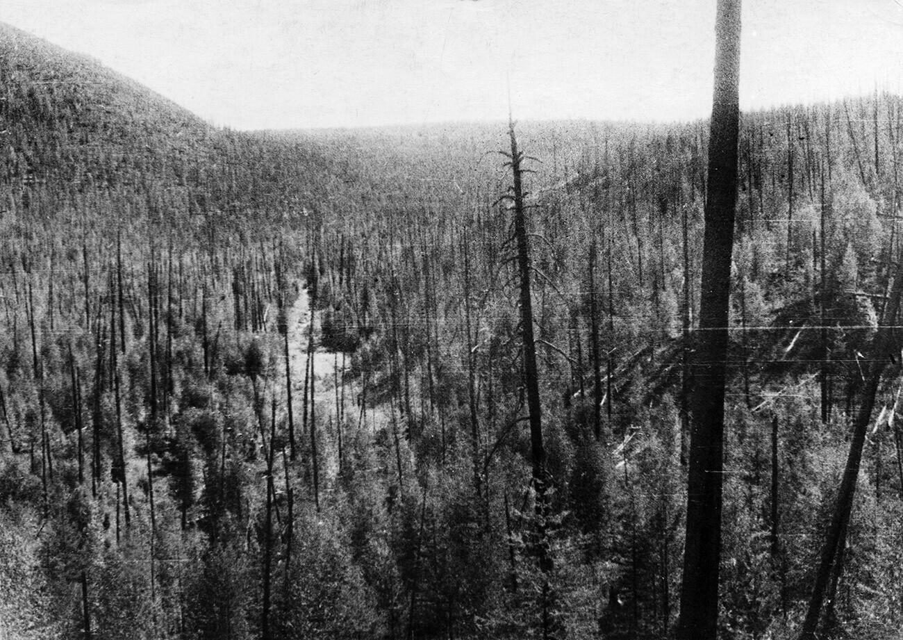 The valley of the Churgima stream, 4 km south of where the meteorite fell in 1908.