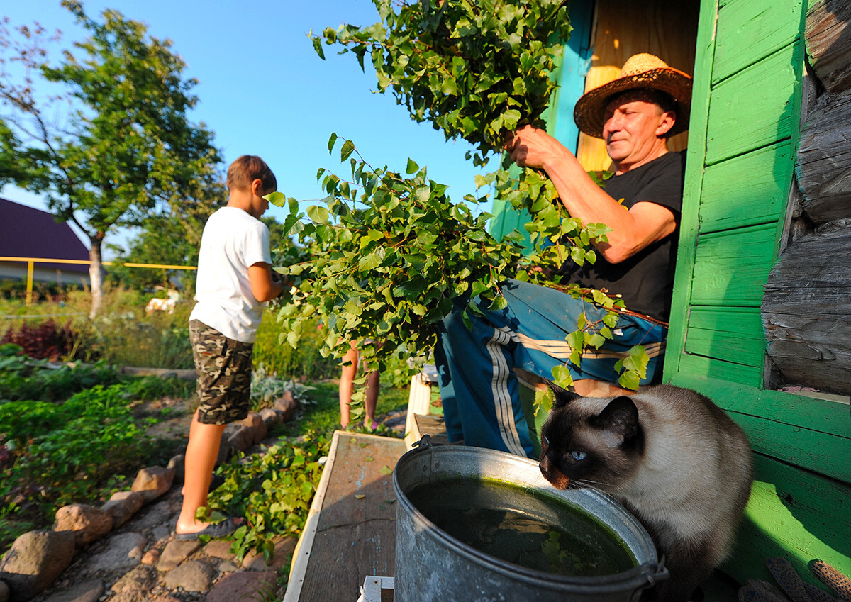 En images: aventures estivales de chats dans la campagne russe