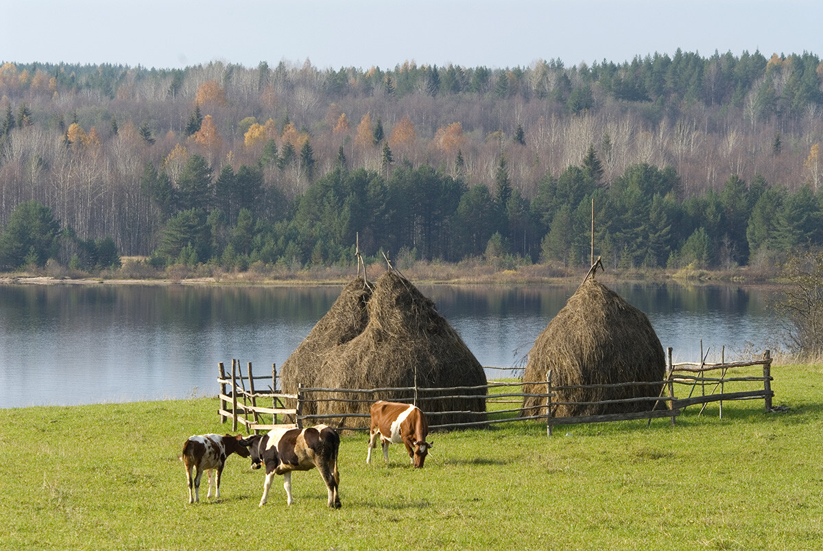 Esto es Kénozero, el nuevo lugar de la UNESCO en Rusia (FOTOS)