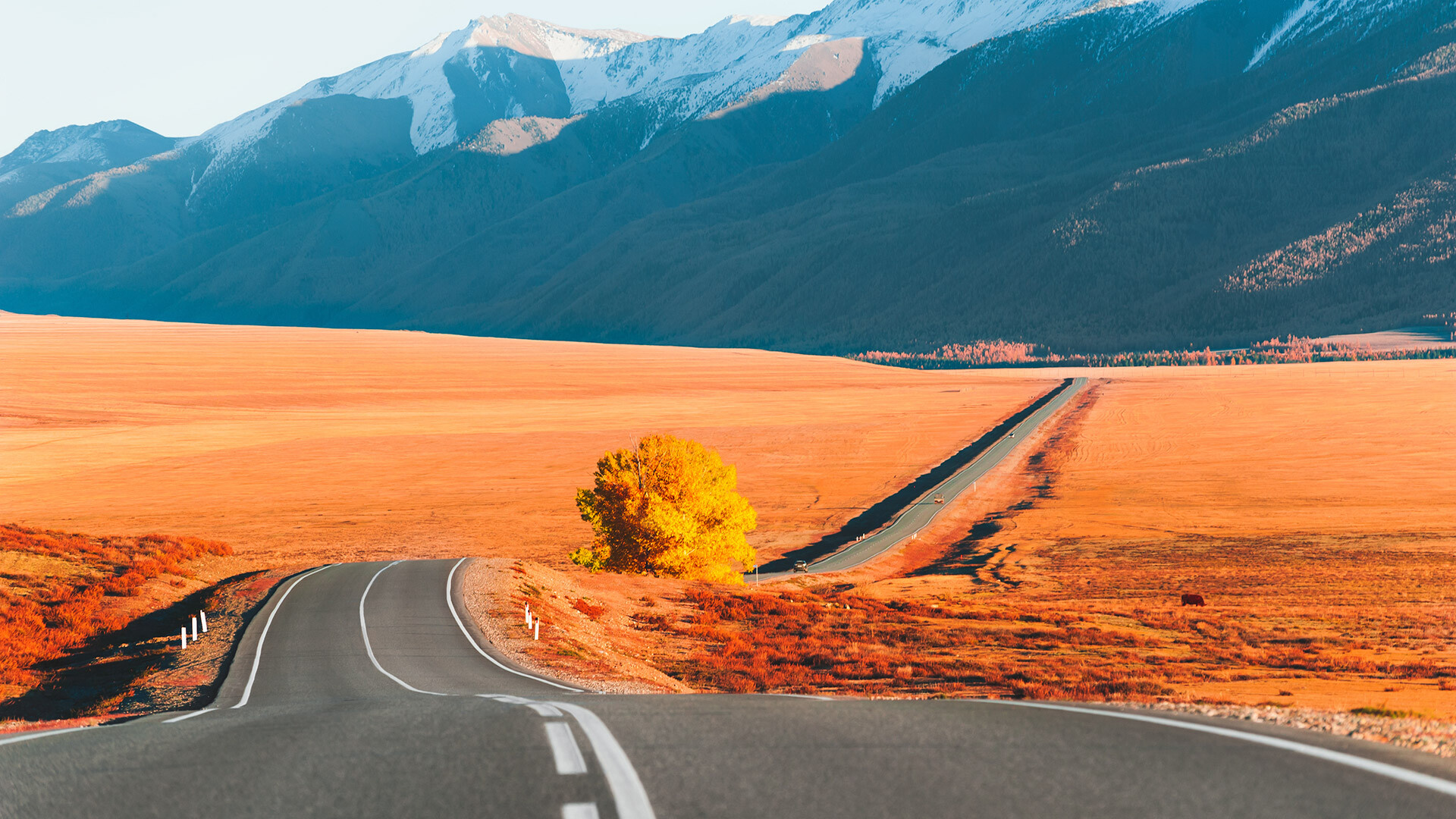 Hermosa carretera de otoño  en las montañas al atardecer. Carretera Chuiski.