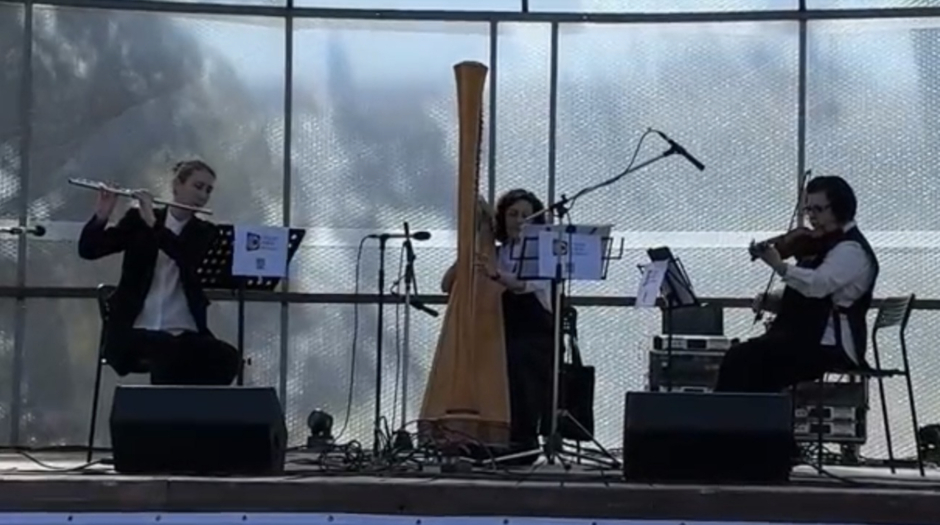 vk.com/antonovkapples