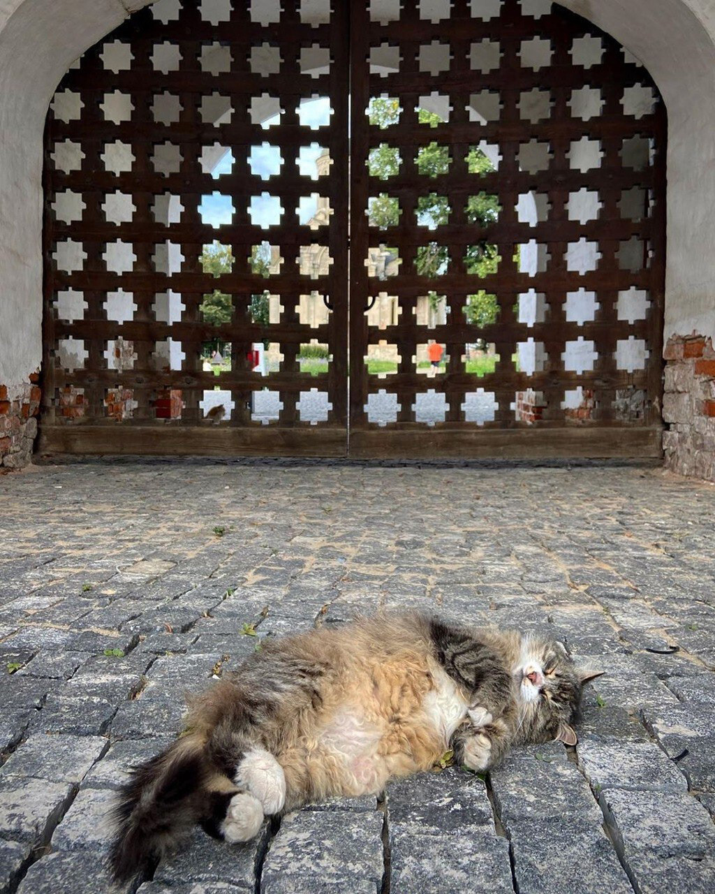 Chat du Musée Roublev