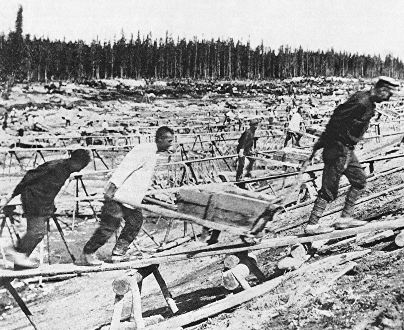 Prisioneros que construyen el Canal Mar Blanco-Báltico.