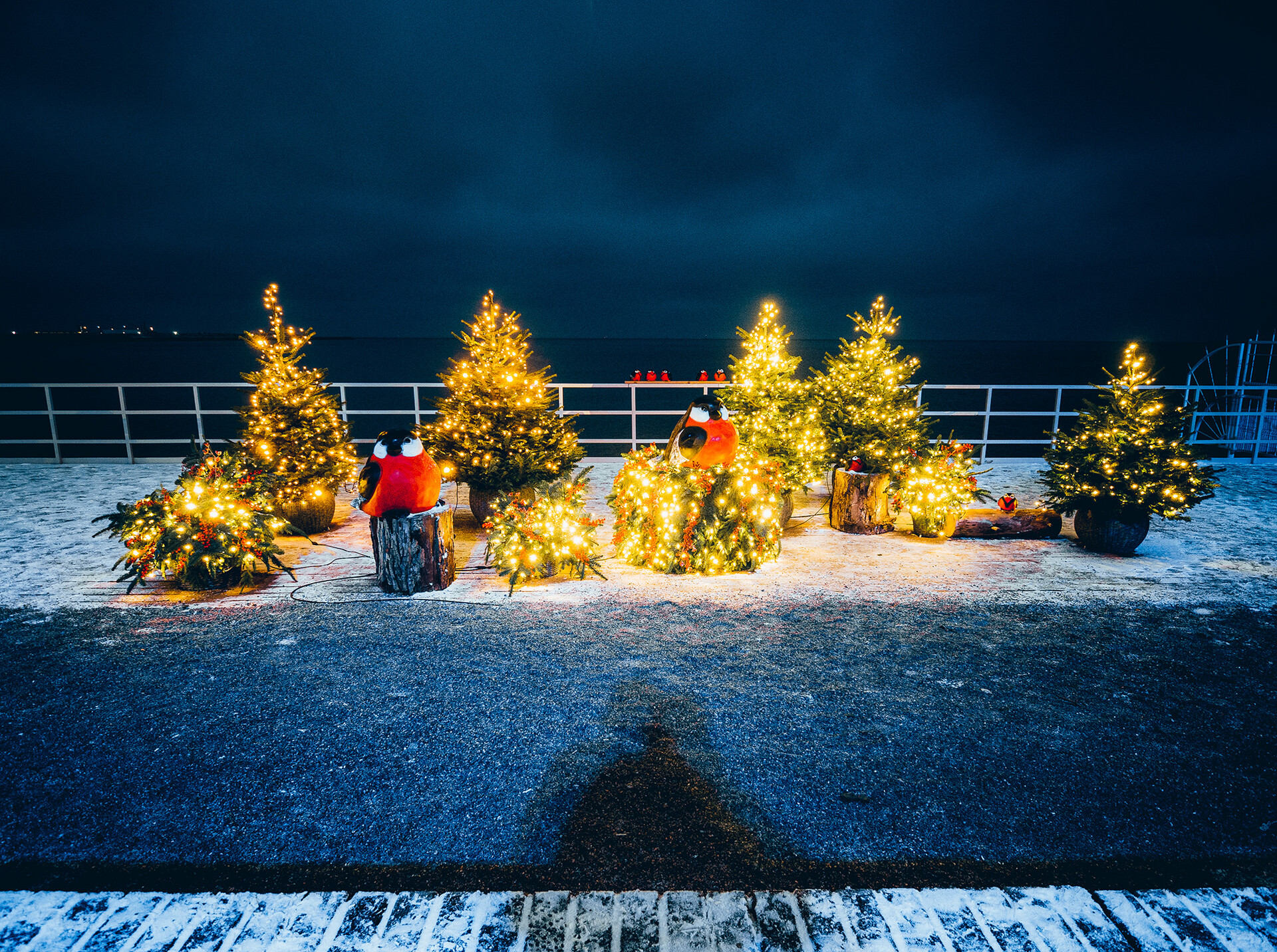 World's LARGEST ice rink opens in St. Petersburg! (PHOTOS)