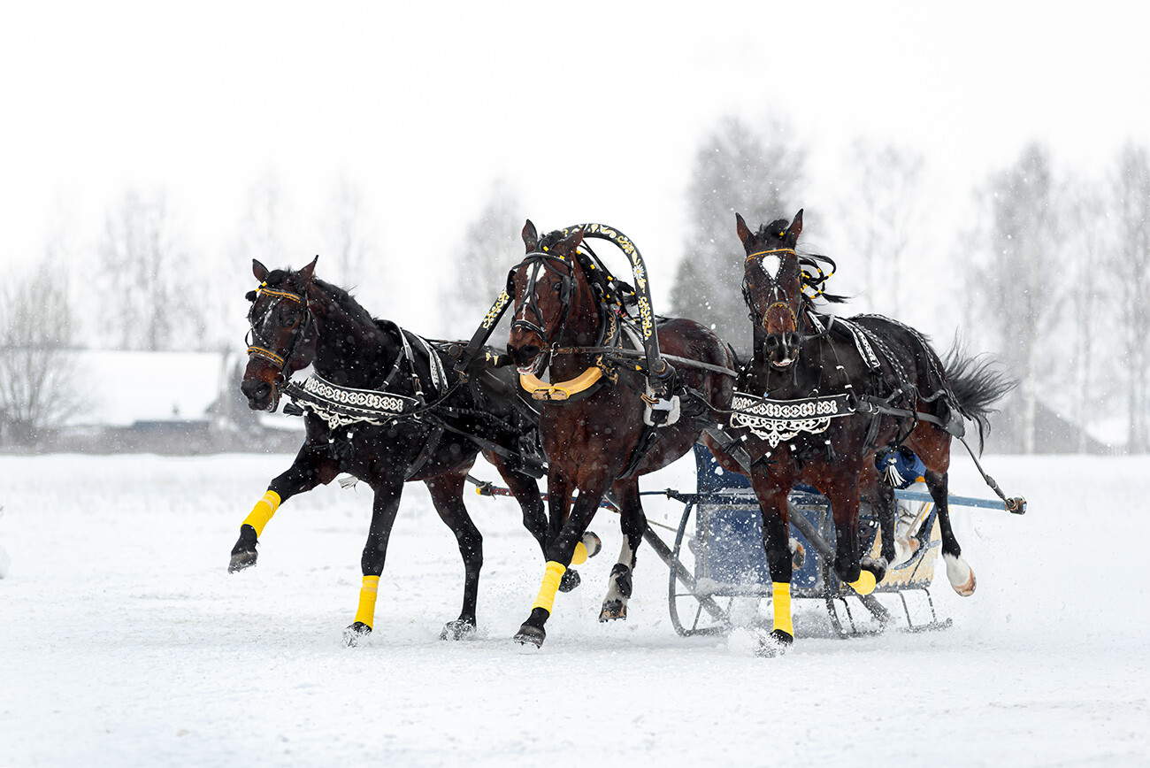 10 reasons to visit Russia in winter