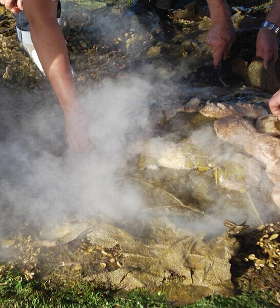 Destape de un curanto, horno bajo tierra, en la comuna de Dalcahue, Chiloé, Chile.