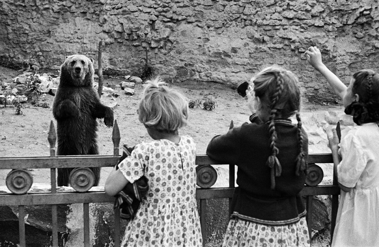 モスクワ動物園。ヒグマの檻の前にいる子供たち。１９４４年。