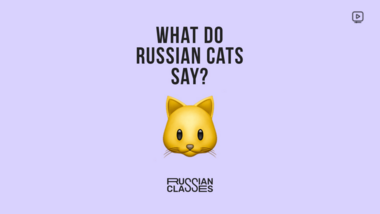 Russian Classes: What do Russian cats say? (VIDEO)