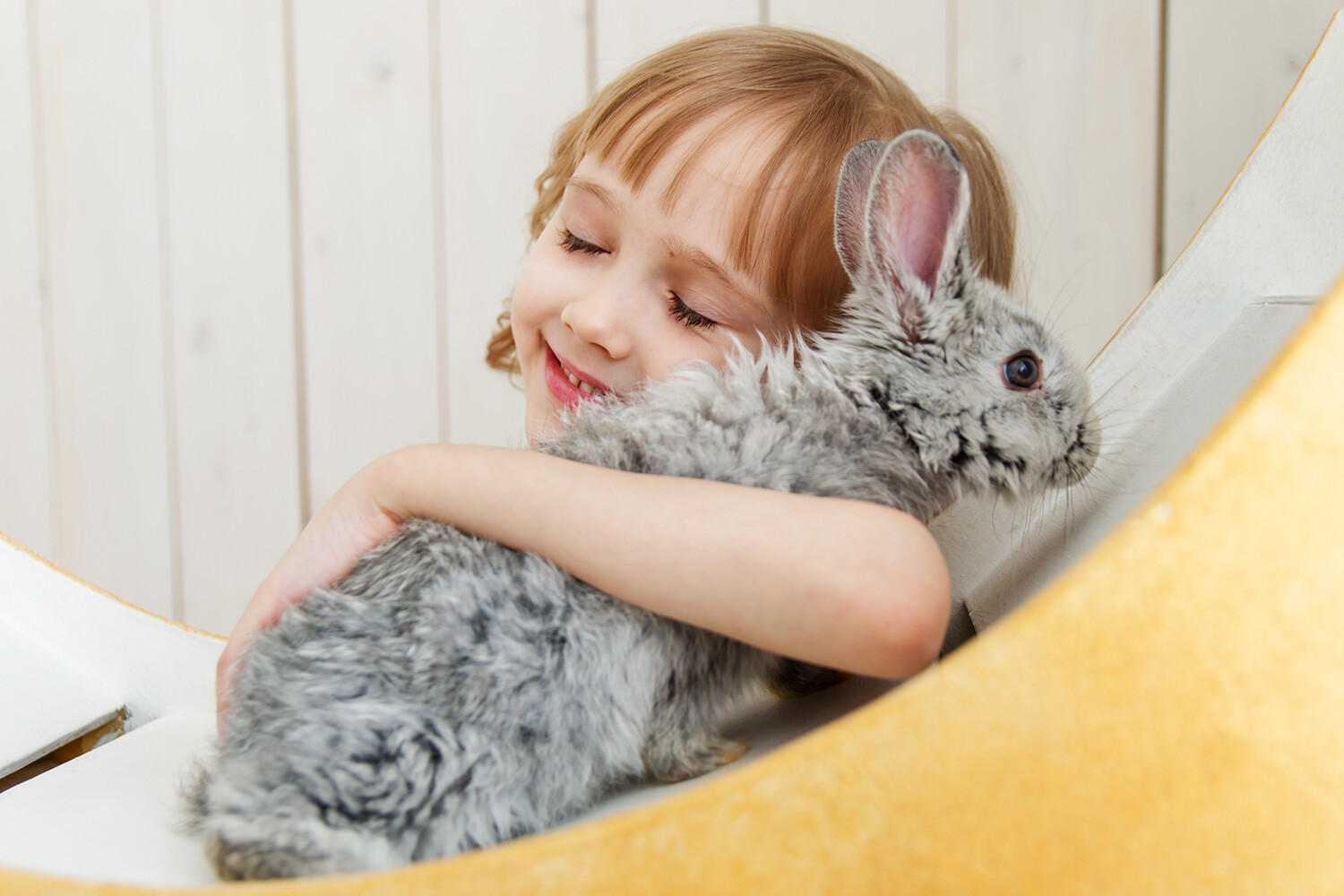 モスクワとサンクトペテルブルクの動物カフェ７選