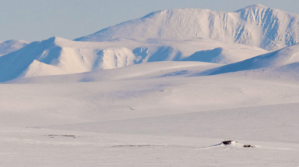 This amazing, snow-covered island, once part of the ancient Bering continent, is a haven for arctic wildlife. And here, under a layer of snow many metres thick, protected from the fierce December blizzards and frosts, tiny, blind and defenceless cubs (weighing just 400 grams) are bought into the world. These cubs eventually turn into one of world’s biggest and most feared predators – the polar bear.