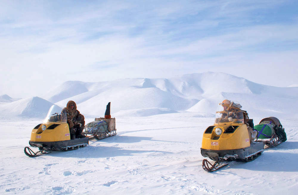 During this time staff at the nature reserve carry out a survey of the dens in the area, where cubs have been born. This work is not cheap, and these surveys are no longer carried out on the island every year, as the helicopter flight alone costs in the region of a million roubles ($33,000).