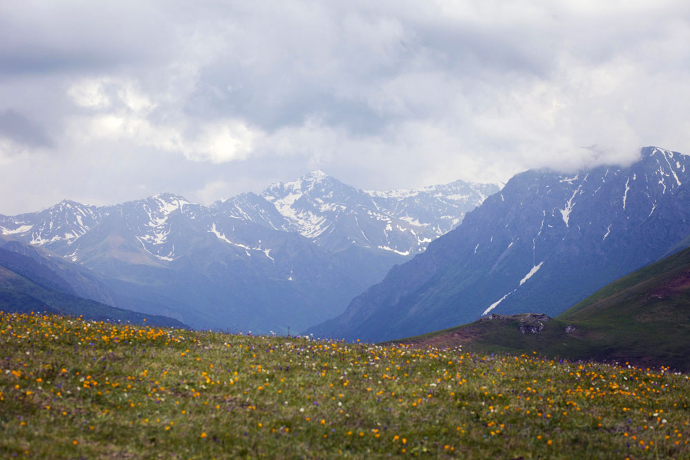 A view at the Caucasus mountains