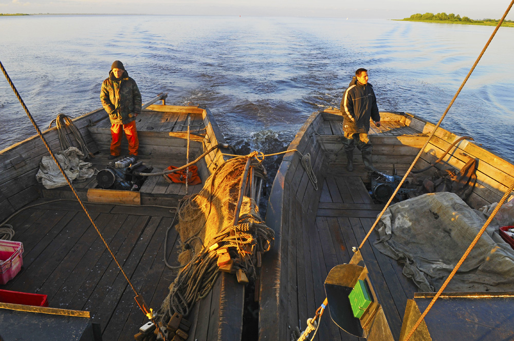 Of course, the most interesting fishing tours in Novgorod Region are associated with the Ilmen Lake. More than 50 rivers flowing into the Ilmen Lake, numerous inland lakes communicating with the rivers by channels are natural spawning grounds for the underwater inhabitants of Ilmen.(Before coming to the dock, the boats are fixed together, and so they go to the shore).