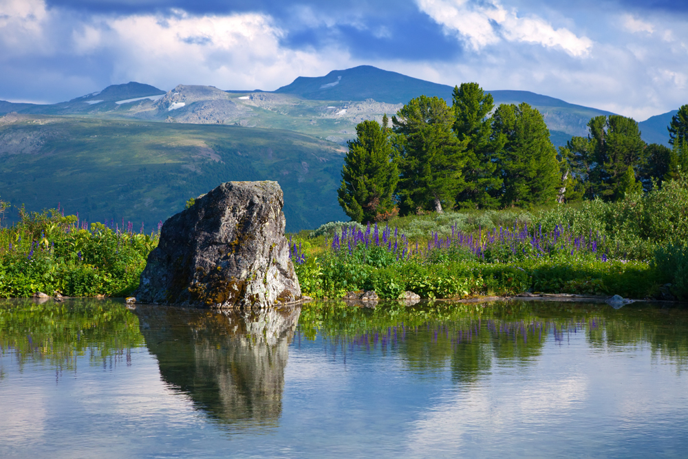 The Altai mountains ...in southern Siberia form the major mountain range in the western Siberia biogeographic region and provide the source of its greatest rivers - the Ob and the Irtysh. These mountains were included in the UNESCO World Heritage list in 1998. The total area covers 1,611,457 ha. The region represents the most complete sequence of altitudinal vegetation zones in central Siberia. The site is also an important habitat for endangered animal species such as the snow leopard.