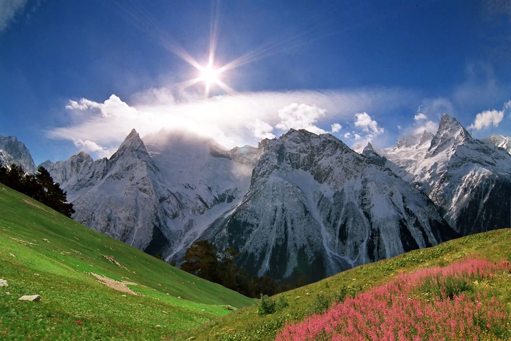 The Western Caucasus ...extending over 275,000 ha of the extreme western end of the Caucasus mountains and located 50 km north-east of the Black Sea, is one of the few large mountain areas of Europe that has not experienced significant human impact. The site has a great diversity of ecosystems, with important endemic plants and wildlife, and is the place of origin and reintroduction of the mountain subspecies of the European bison. The Western Caucasus appeared in the list of UNESCO World Heritage in 1999.