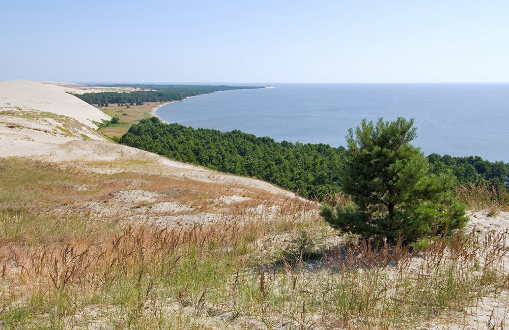 The Curonian Spit ...is a 98 km long, thin, curved sand-dune spit that separates the Curonian Lagoon from the Baltic sea coast. Its southern portion lies within Kaliningradskaya oblast (Russia), and its northern within southwestern Lithuania. It is a UNESCO World Heritage site since 2000, shared by the two countries. Human habitation of this elongated sand dune peninsula, 98 km long and 0.4-4 km wide, dates back to prehistoric times.