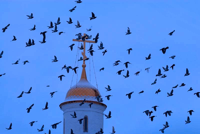 Tobolsk is one of the most contradictory russian towns, being the native land of legendary Grigory Rasputin on the one hand and the last asylum for his patron, the exiled emperor Nikolai II, on the other hand.