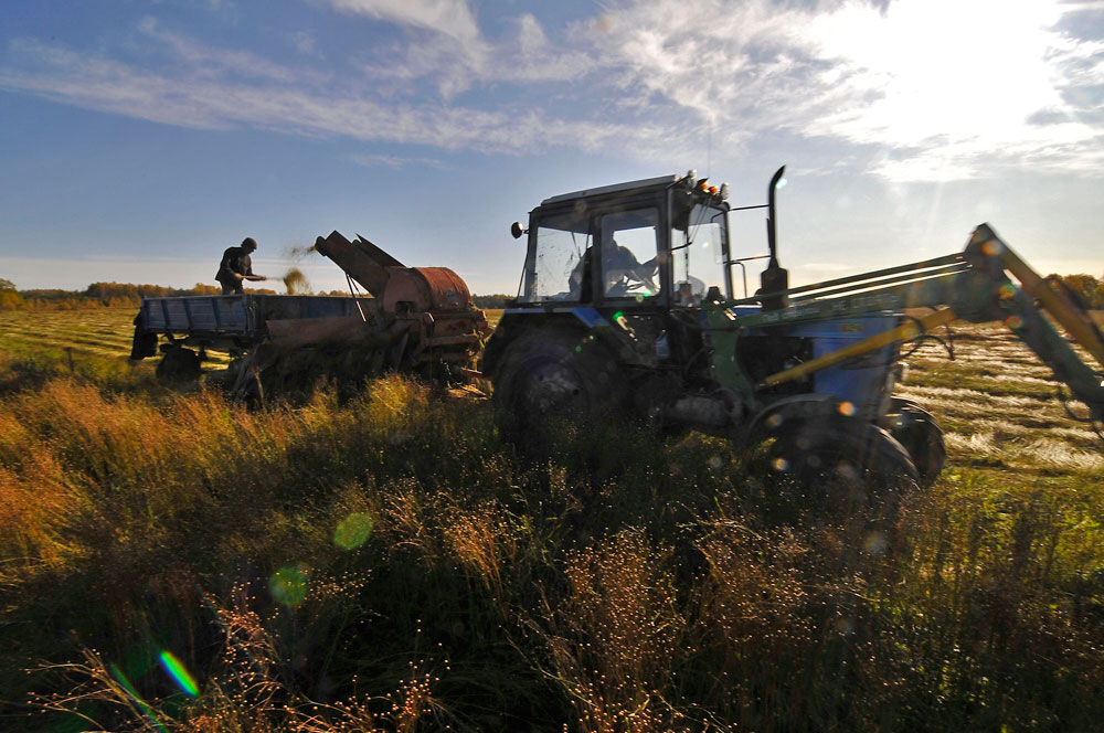 Flax has been cultivated since time immemorial. The finest in the world is believed to be grown in Tver, Kostroma, Novgorod, Yaroslavl, and Arkhangelsk provinces.