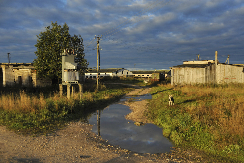 Mintzi est un petit village dans l’une des zones les plus reculées de la région de Khvoïninsk, dans l’oblast de Novgorod, à 300 km de Veliki Novgorod…