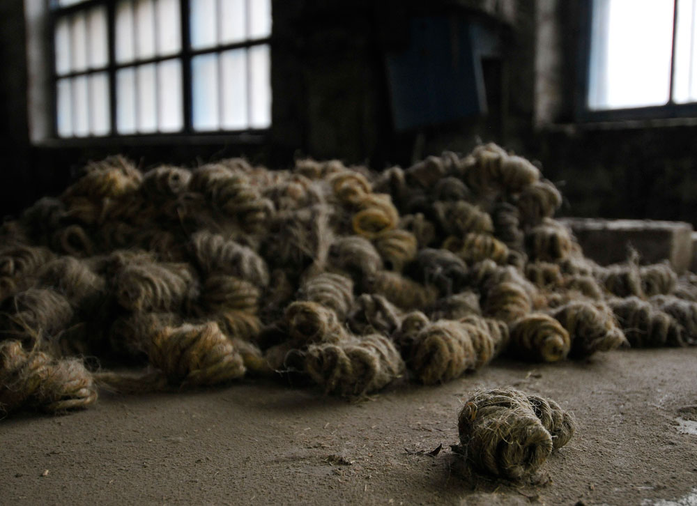 Cultivating flax in Novgorod Region Russia Beyond