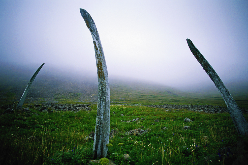 O Caminho dos Ossos de Baleia é um monumento único de origem esquimó em Ittigrane, ilha localizada no Estreito de Seniavin, na península de Tchukotka. A estrutura é formada por duas fileiras de ossos enormes de baleia-da-Groenlândia. A dimensão do caminho, que percorre 500 metros ao longo da costa norte da ilha, e sua complexa estrutura são verdadeiramente surpreendentes.