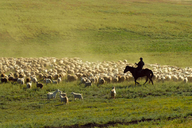 Le Touva est une région agricole, l'élevage de moutons et de bovins étant les principales occupations.