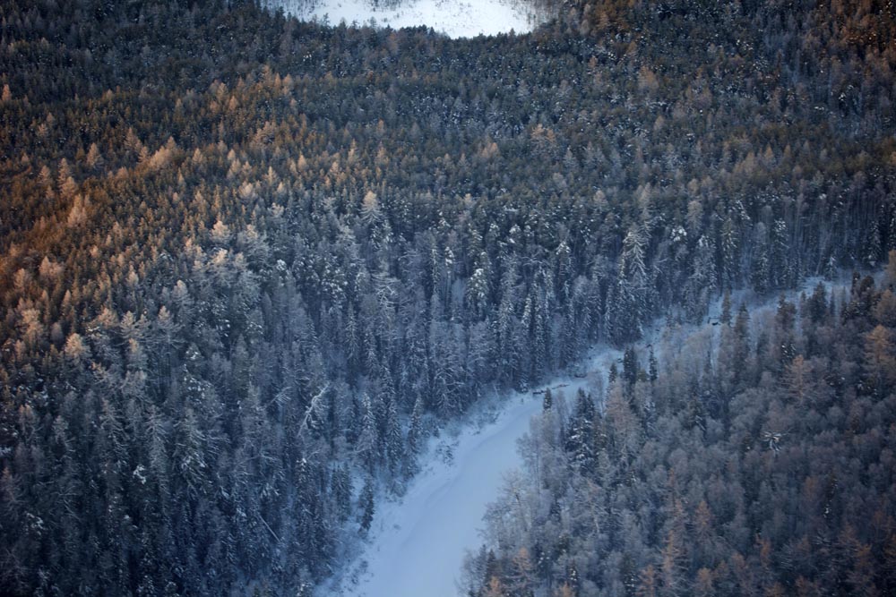 11/15. Хеликоптер лети изнад тајге, највећег копненог биома на свету који заузима 29% светске површине под шумама. Највеће области под тајгом налазе се у Русији и Канади.