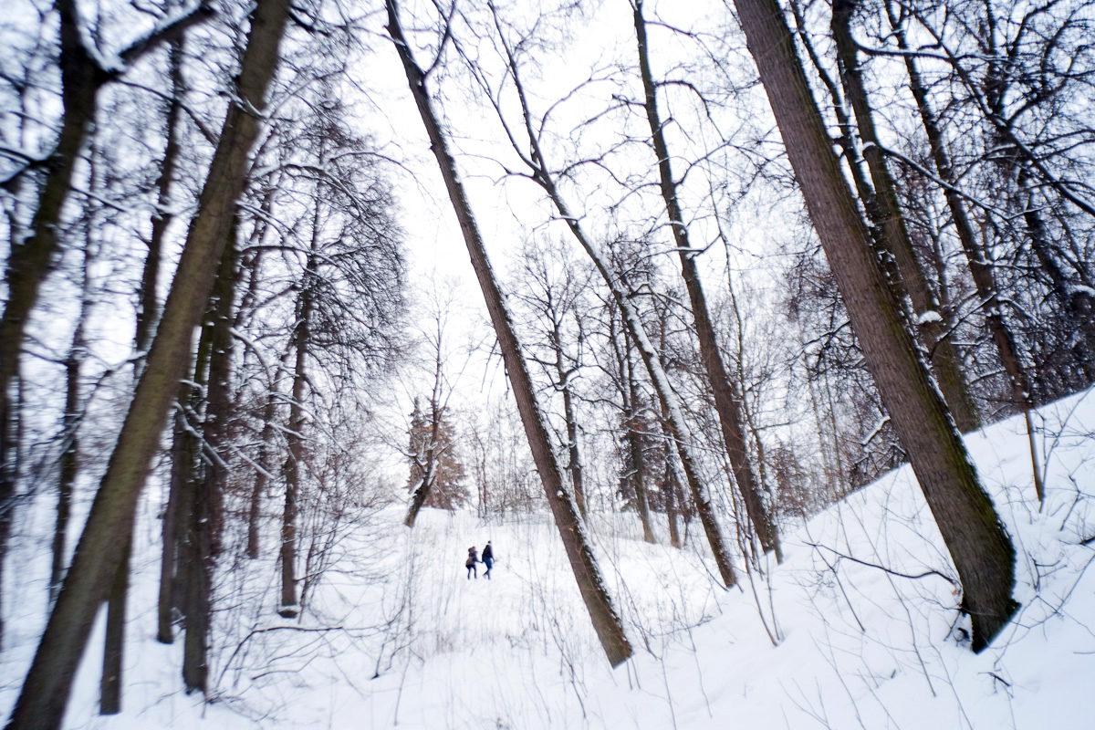 According to recent polls, more than half of all Russians observe Old New Year in some way.